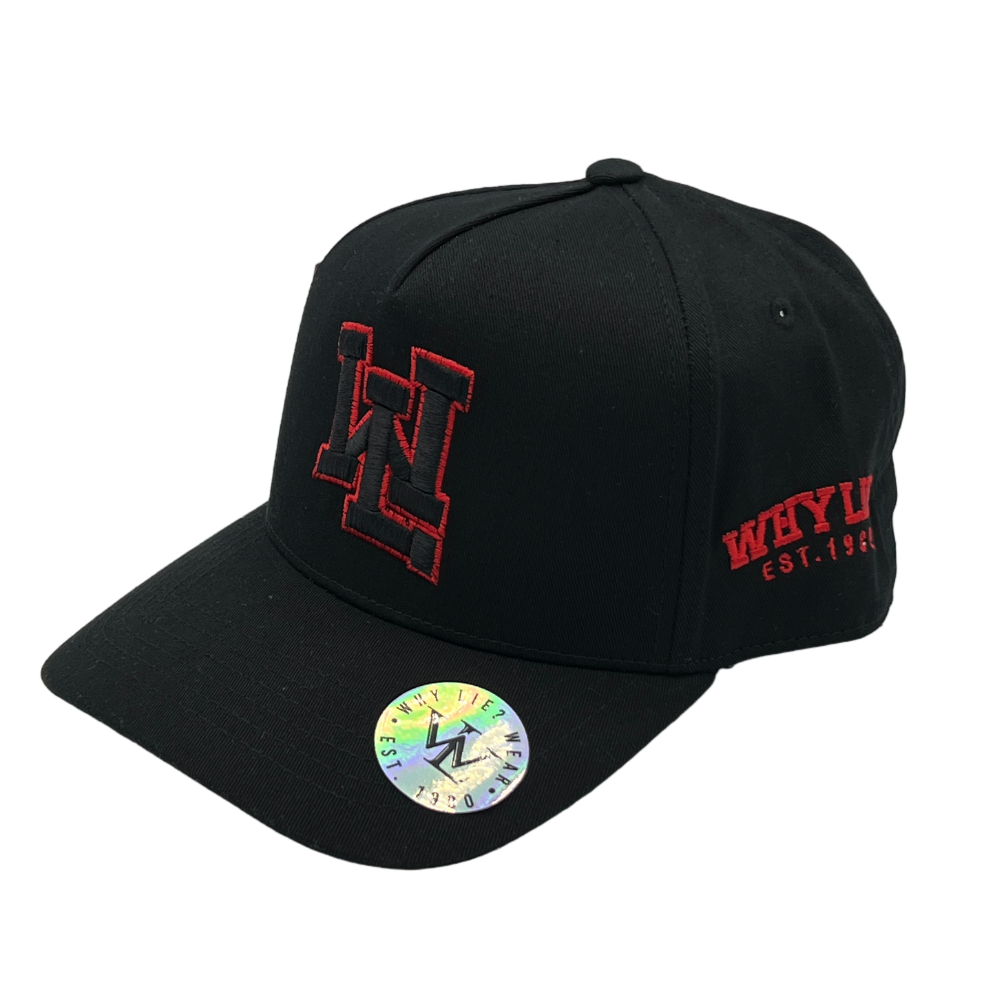 WL 3d Puff 5 Panel Hat